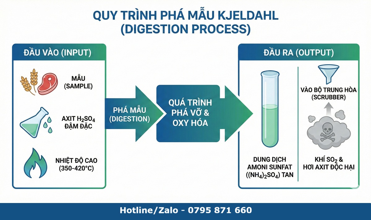 Sơ đồ minh họa quy trình phá mẫu Kjeldahl: từ mẫu đầu vào phản ứng với Axit H2SO4, gia nhiệt đến khi tạo thành dung dịch trong suốt và xử lý khí SO2